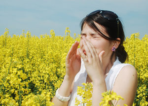 allergi