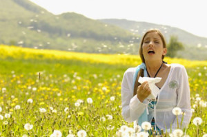 allergy
