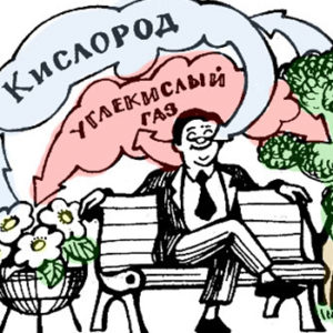 исследования по воздействию углекислого газа СО2 на организм человека