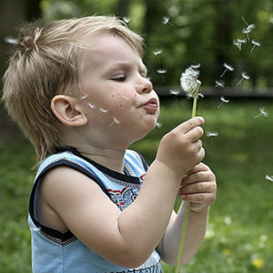 allergy-deti2