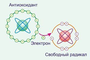 схема свободных радикалов
